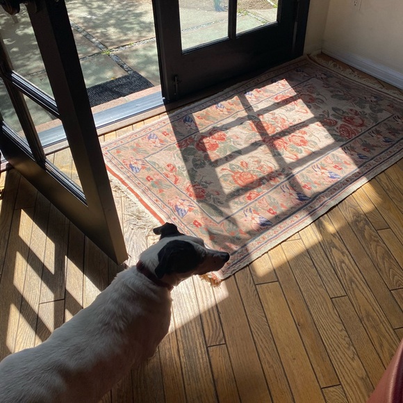 Meet Your Posher CP - Picture 6 of 16